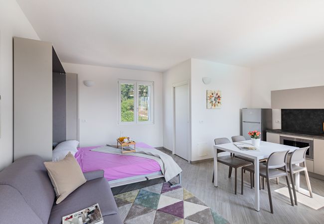 Estudio en Soiano del Lago - San Carlo Borromeo 3